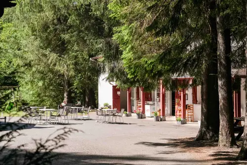 Le restaurant sous les grands arbres