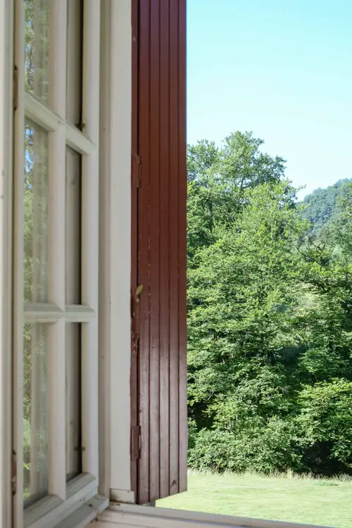 Vue depuis la fenêtre sur la forêt et les collines